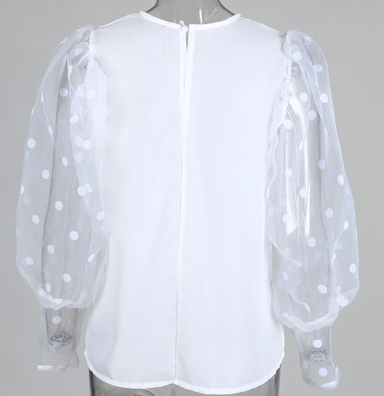 Dot Sheer Sleeve Blouse - OMGSTYLEZ